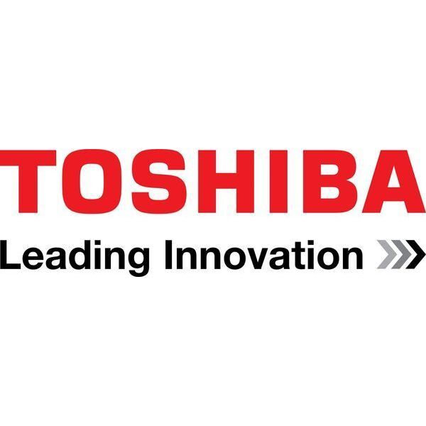 TC358743XBG Toshiba Semiconductor and Storage