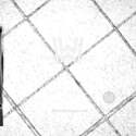 TS3A27518EPWR Real Image1