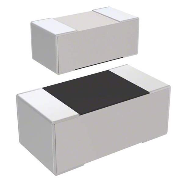 RC1005F105CS Real Image