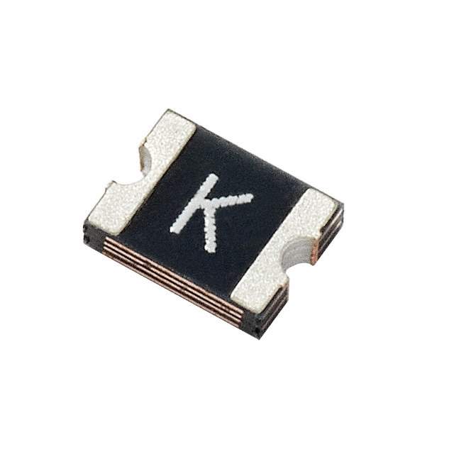 1210L005WR Real Image